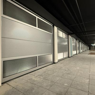 Sekcijska Garazna Vrata 51